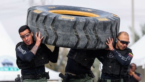 الإطار المطاطي